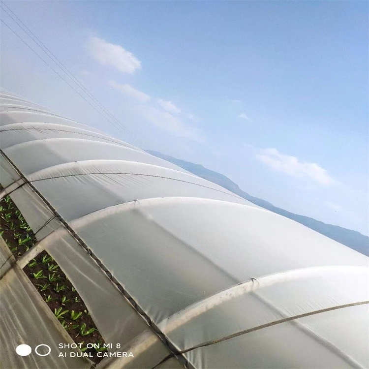 Diffused Greenhouse Plastic